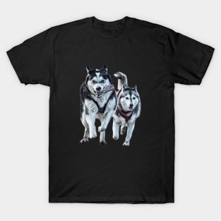 Siberian Huskies T-Shirt